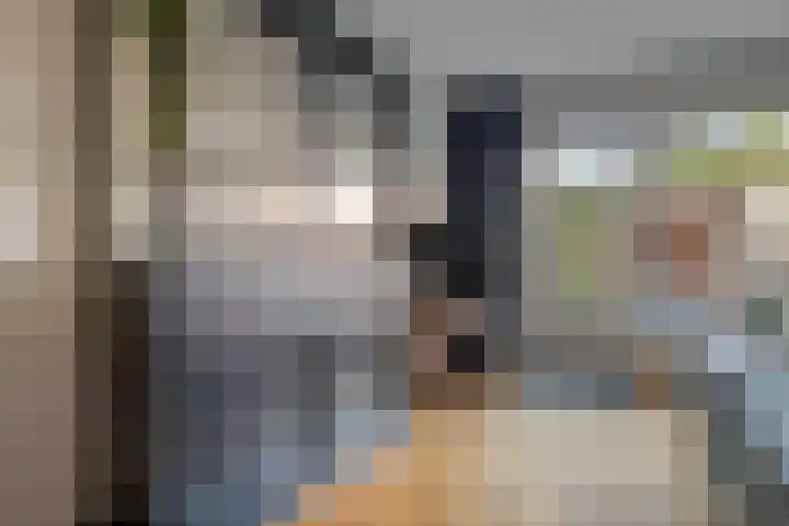 Moerasvaren 42 Hendrik-Ido-Ambacht thumbnail 6
