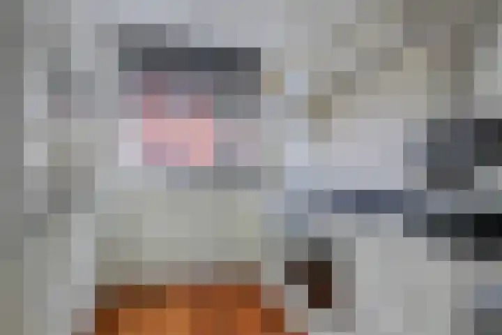 Moerasvaren 42 Hendrik-Ido-Ambacht thumbnail 8