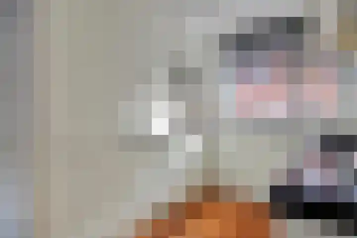 Moerasvaren 42 Hendrik-Ido-Ambacht thumbnail 9