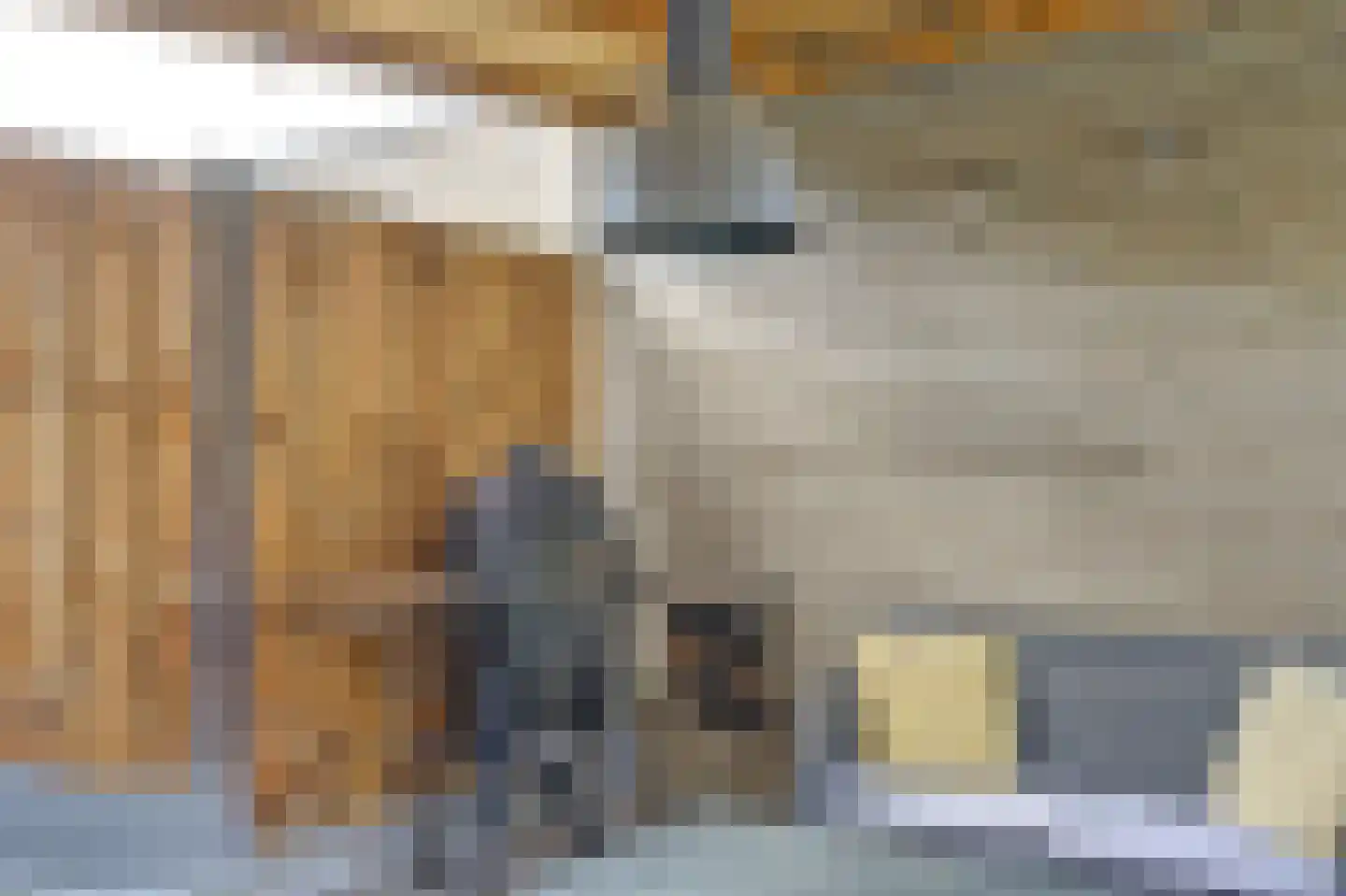 Moerasvaren 52 Hendrik-Ido-Ambacht thumbnail 37