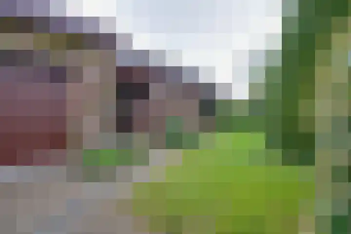 Moerasvaren 52 Purmerend thumbnail 10
