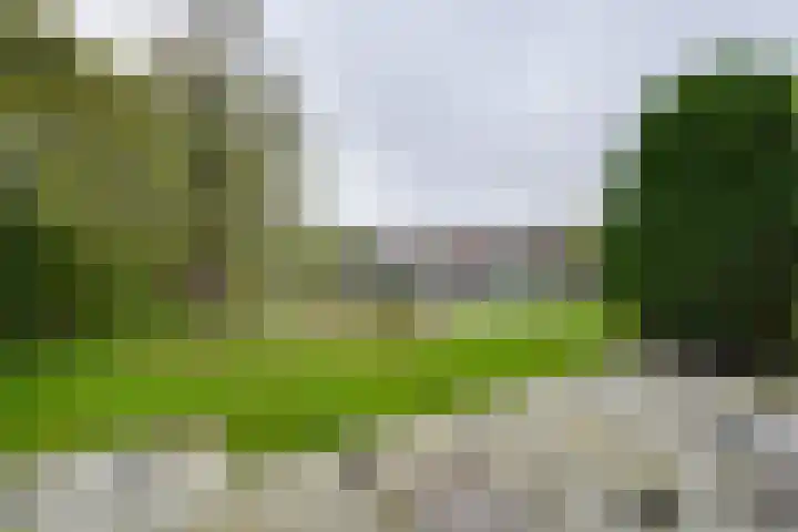 Moerasvaren 52 Purmerend thumbnail 31
