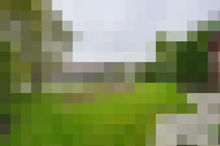 Moerasvaren 52 Purmerend thumbnail 32