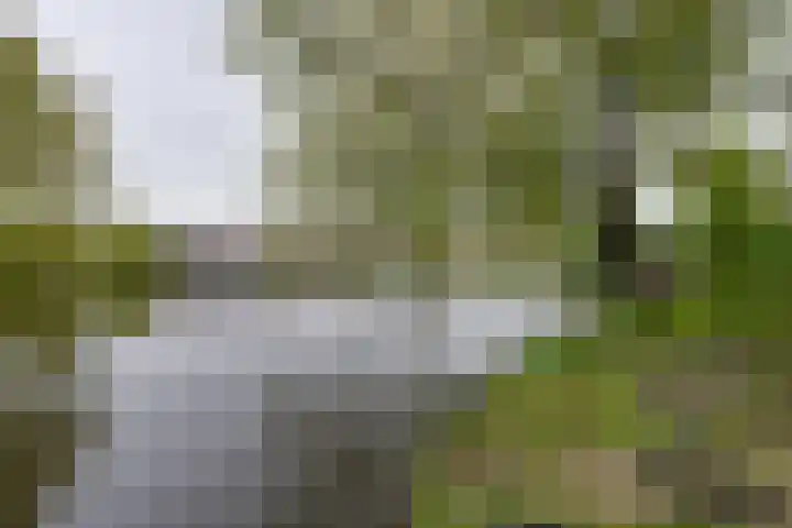 Moerasvaren 52 Purmerend thumbnail 34
