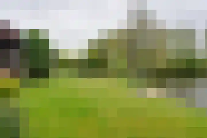 Moerasvaren 52 Purmerend thumbnail 35