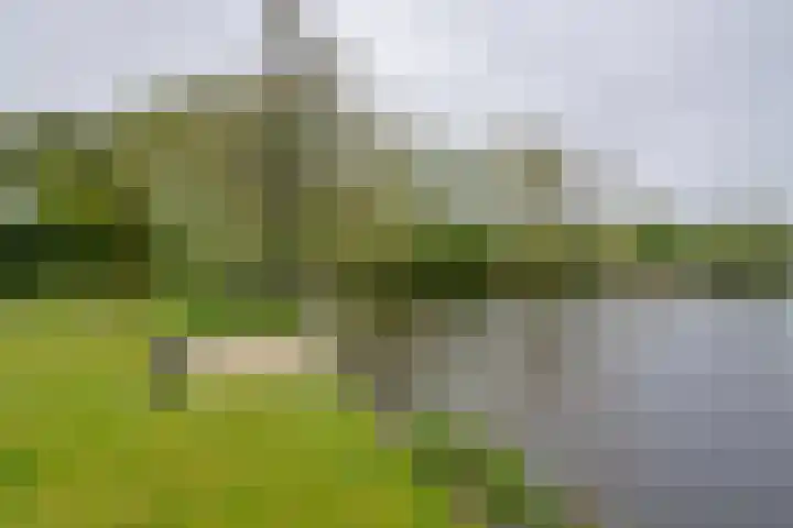 Moerasvaren 52 Purmerend thumbnail 36