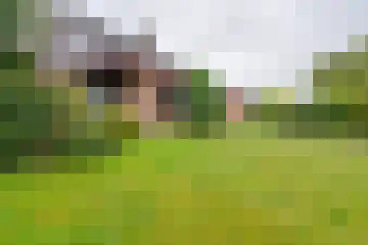 Moerasvaren 52 Purmerend thumbnail 37