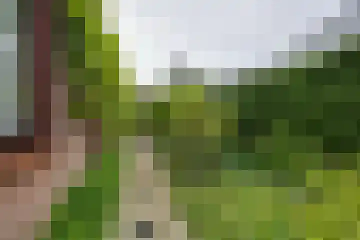 Moerasvaren 52 Purmerend thumbnail 38