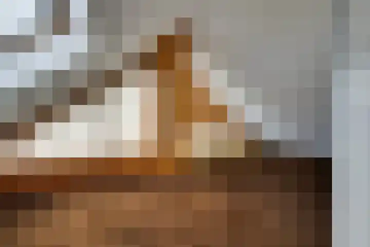 Moerasvaren 52 Purmerend thumbnail 56