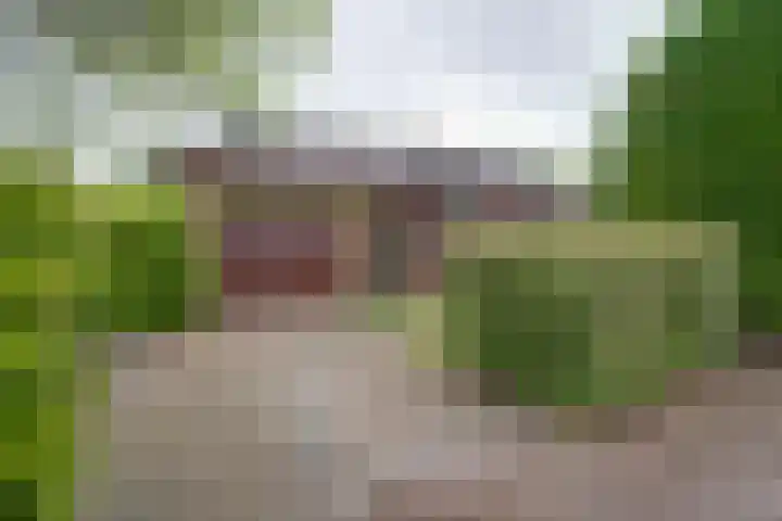 Moerasvaren 52 Purmerend thumbnail 8