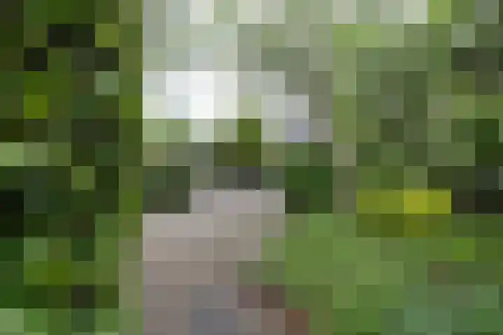 Moerasvaren 52 Purmerend thumbnail 9