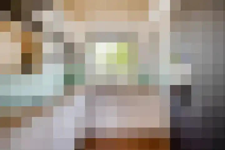 Moerasvaren 53 Bergschenhoek thumbnail 12