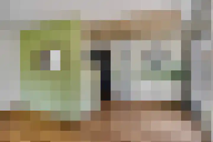 Moerasvaren 53 Bergschenhoek thumbnail 15