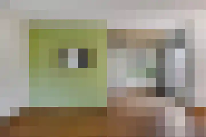 Moerasvaren 53 Bergschenhoek thumbnail 16