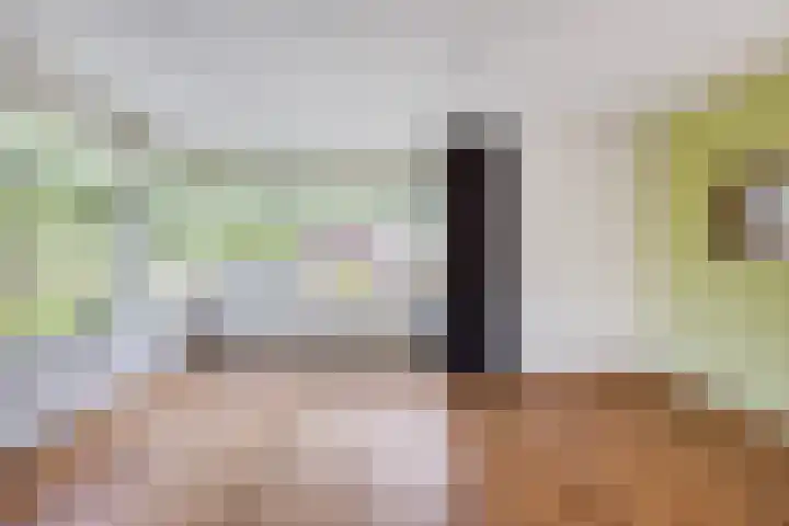 Moerasvaren 53 Bergschenhoek thumbnail 17