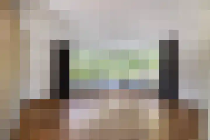 Moerasvaren 53 Bergschenhoek thumbnail 19