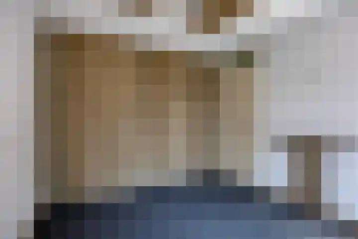 Moerasvaren 53 Bergschenhoek thumbnail 22