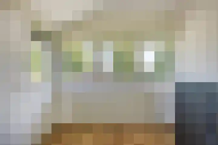 Moerasvaren 53 Bergschenhoek thumbnail 31