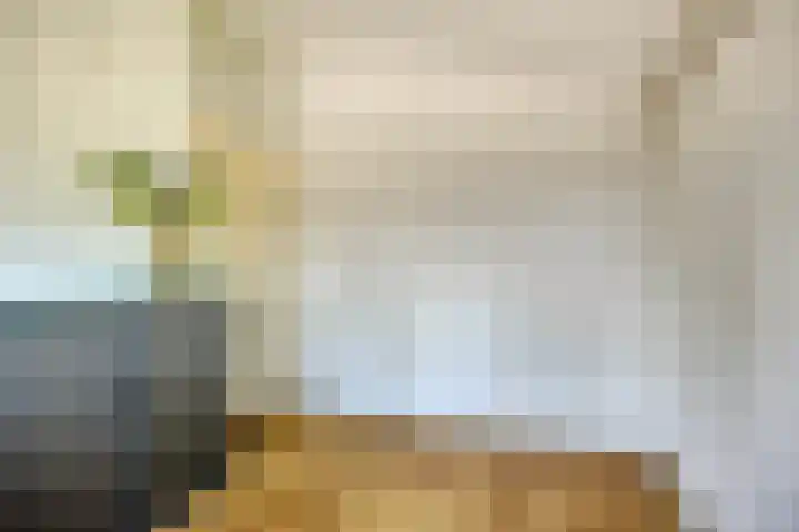 Moerasvaren 53 Bergschenhoek thumbnail 32