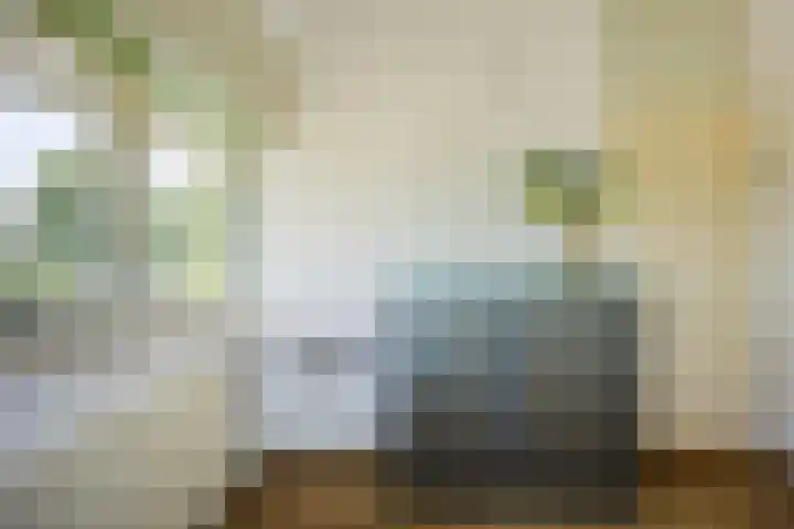 Moerasvaren 53 Bergschenhoek thumbnail 33