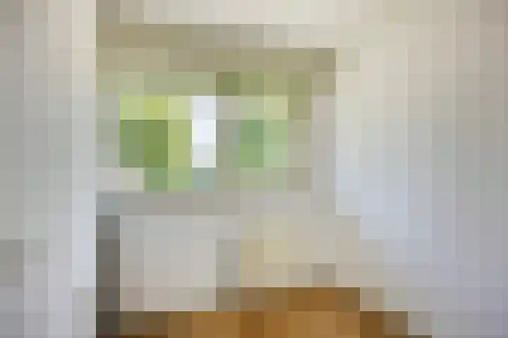 Moerasvaren 53 Bergschenhoek thumbnail 34