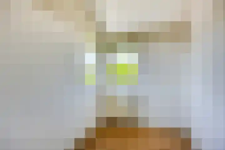 Moerasvaren 53 Bergschenhoek thumbnail 35