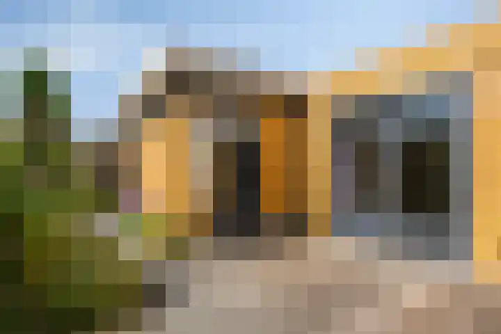 Moerasvaren 53 Bergschenhoek thumbnail 37