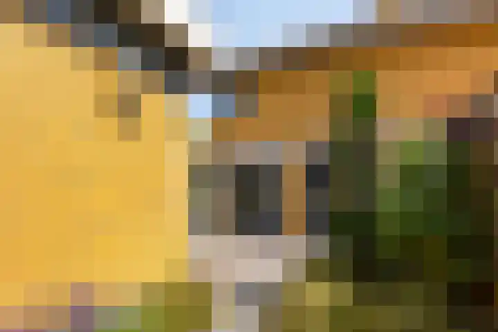 Moerasvaren 53 Bergschenhoek thumbnail 38