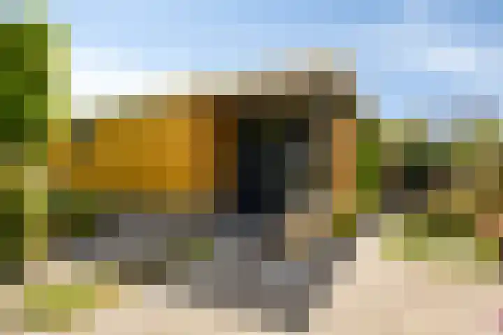Moerasvaren 53 Bergschenhoek thumbnail 39