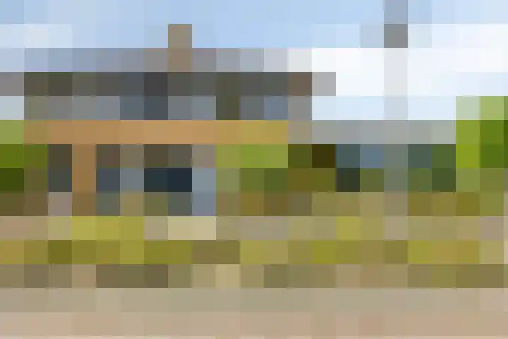 Moerasvaren 53 Bergschenhoek thumbnail 4