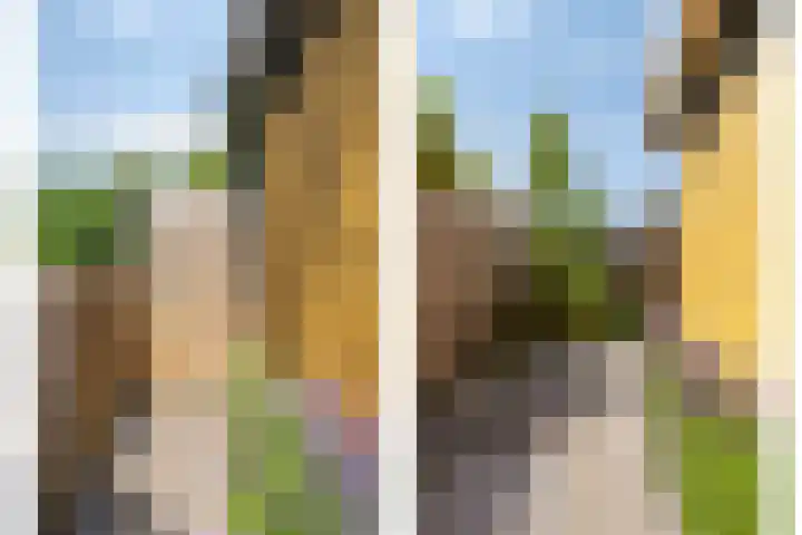 Moerasvaren 53 Bergschenhoek thumbnail 42