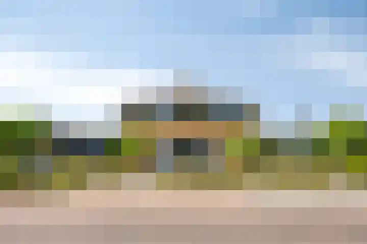 Moerasvaren 53 Bergschenhoek thumbnail 47