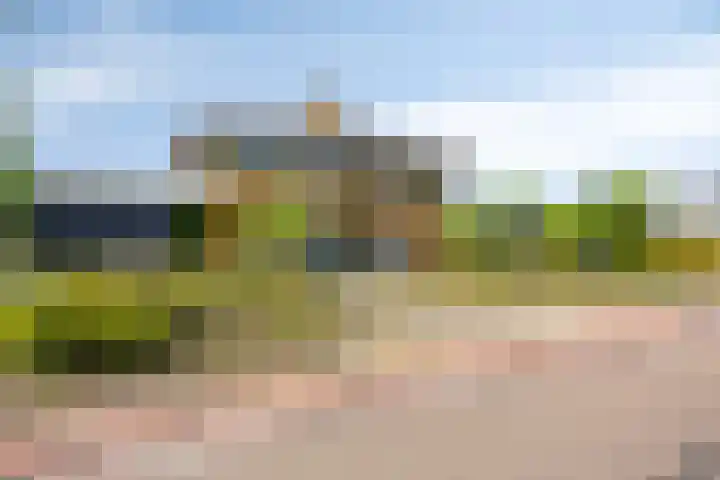 Moerasvaren 53 Bergschenhoek thumbnail 5