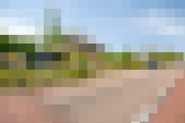 Moerasvaren 53 Bergschenhoek thumbnail 6