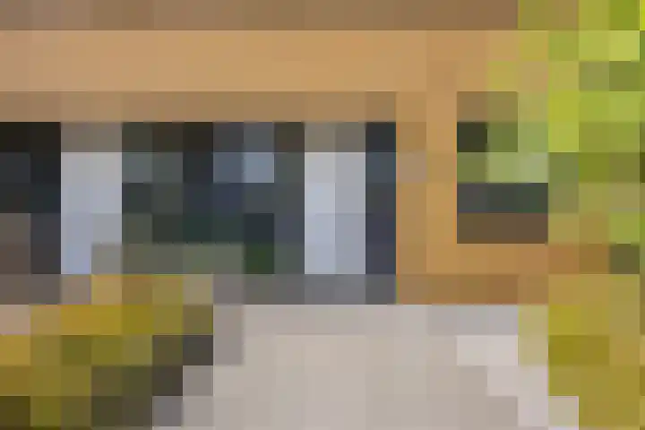 Moerasvaren 53 Bergschenhoek thumbnail 8