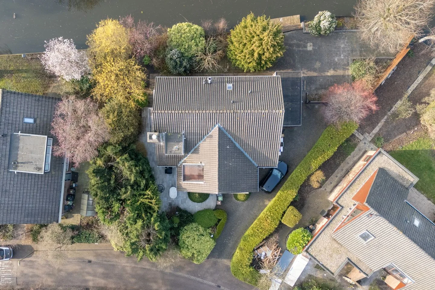 Moerasvaren 54 Purmerend thumbnail 6