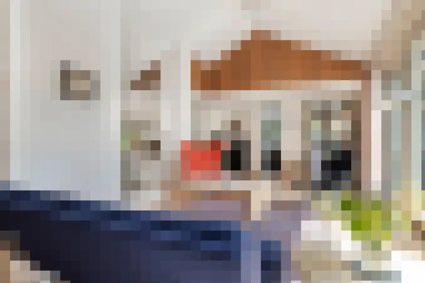 Moerasvaren 62 Purmerend thumbnail 10