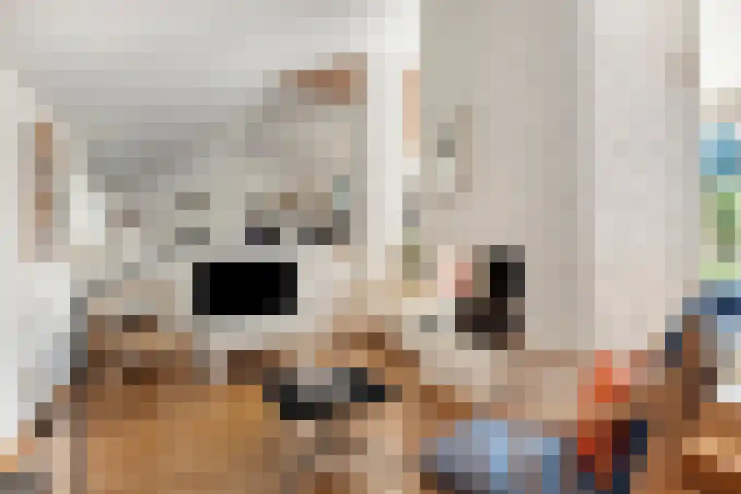 Moerasvaren 62 Purmerend thumbnail 11