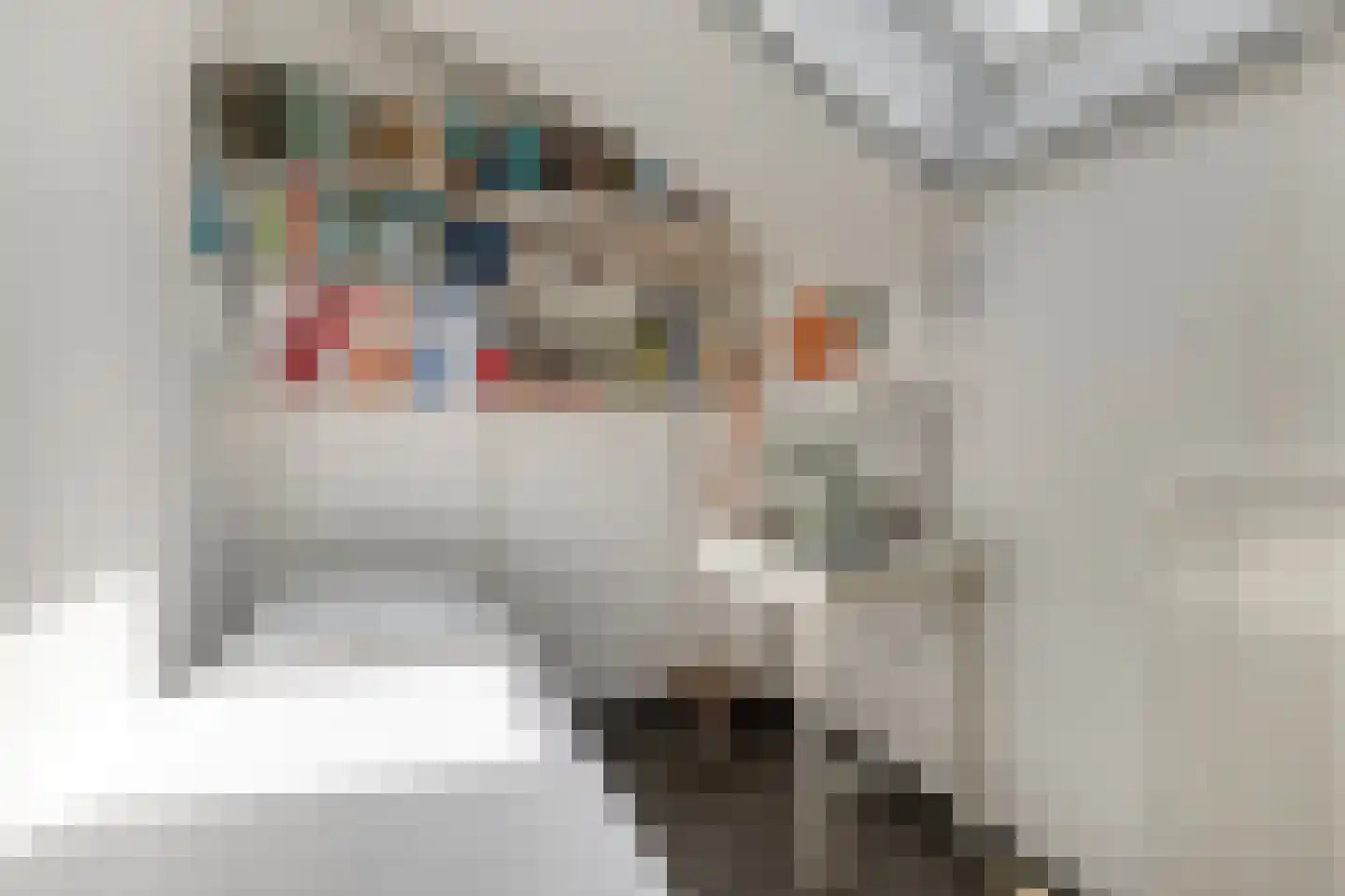 Moerasvaren 62 Purmerend thumbnail 30