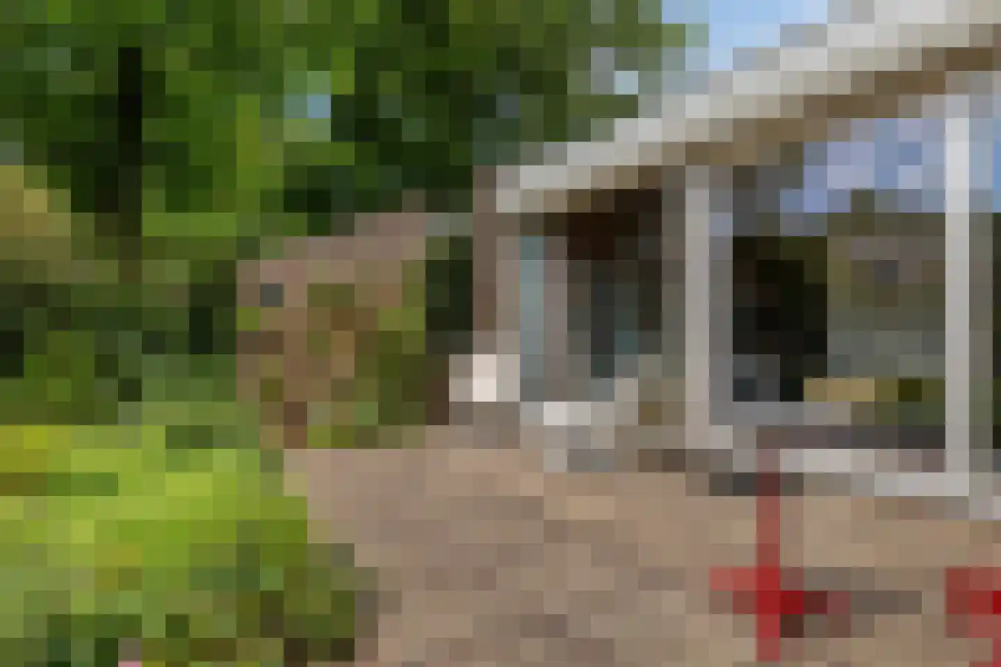 Moerasvaren 62 Purmerend thumbnail 32