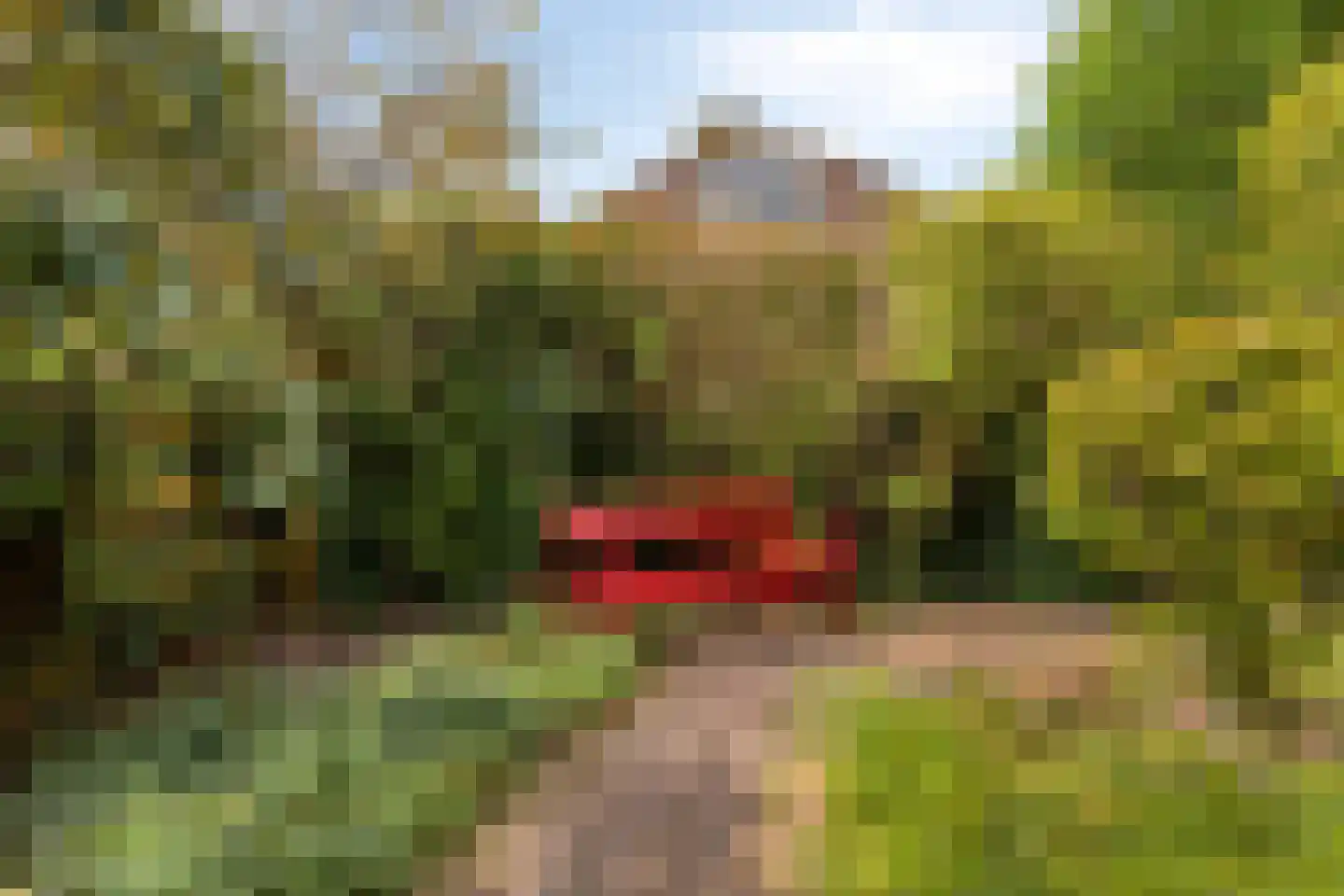 Moerasvaren 62 Purmerend thumbnail 34