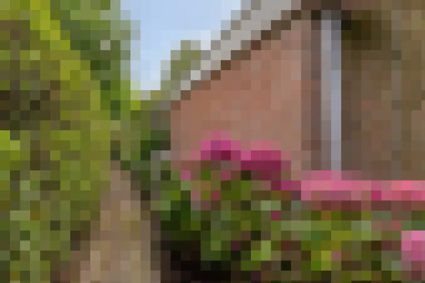 Moerasvaren 62 Purmerend thumbnail 35