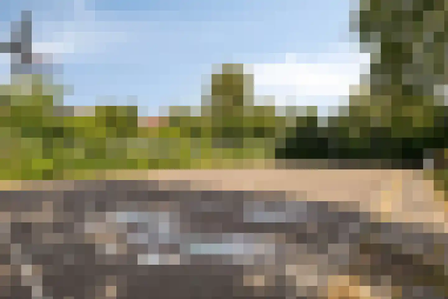 Moerasvaren 62 Purmerend thumbnail 41