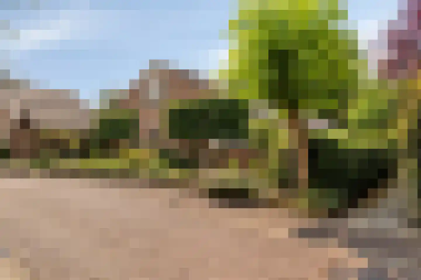 Moerasvaren 62 Purmerend thumbnail 6