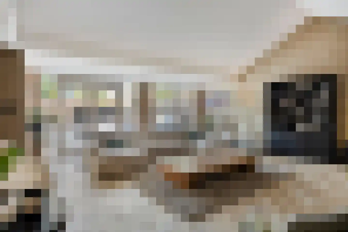 Moerasvaren 64 Purmerend thumbnail 11