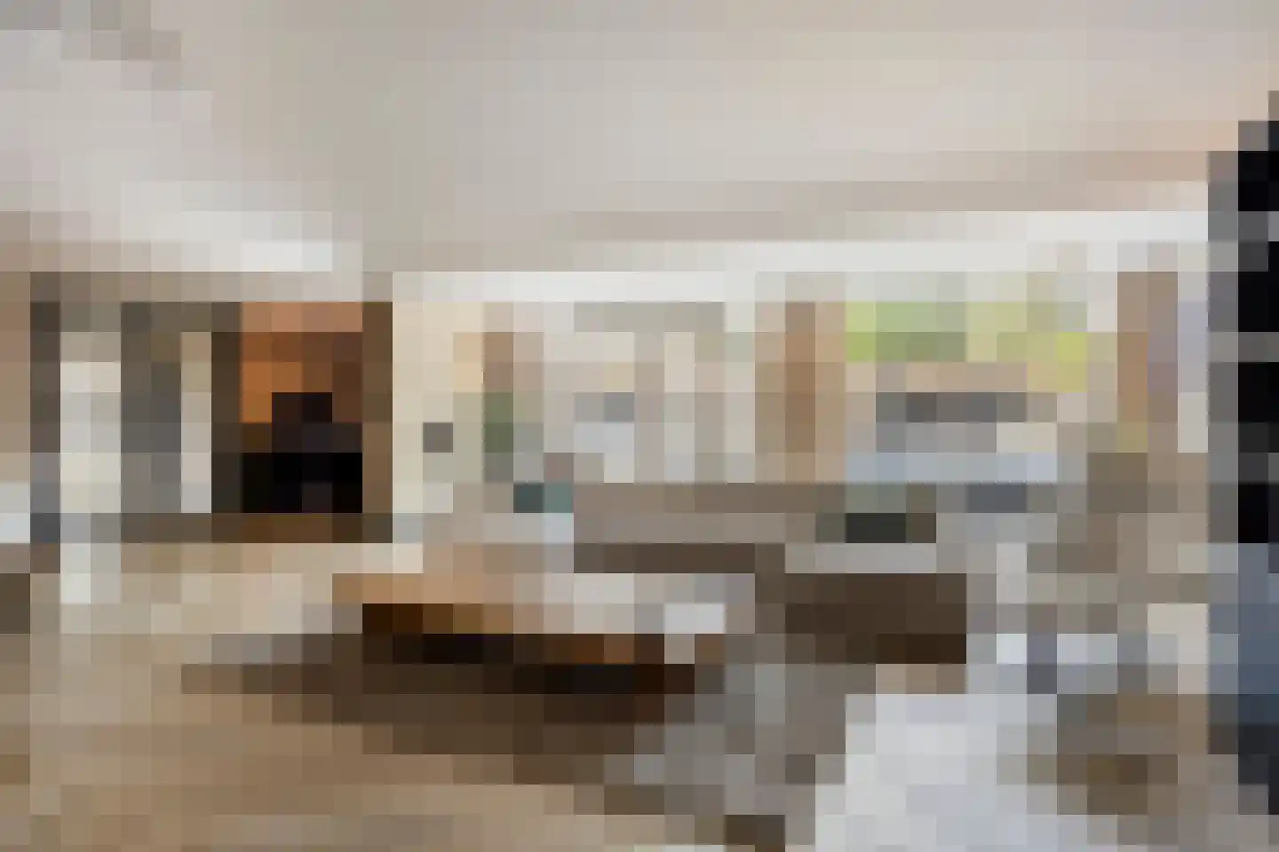 Moerasvaren 64 Purmerend thumbnail 12