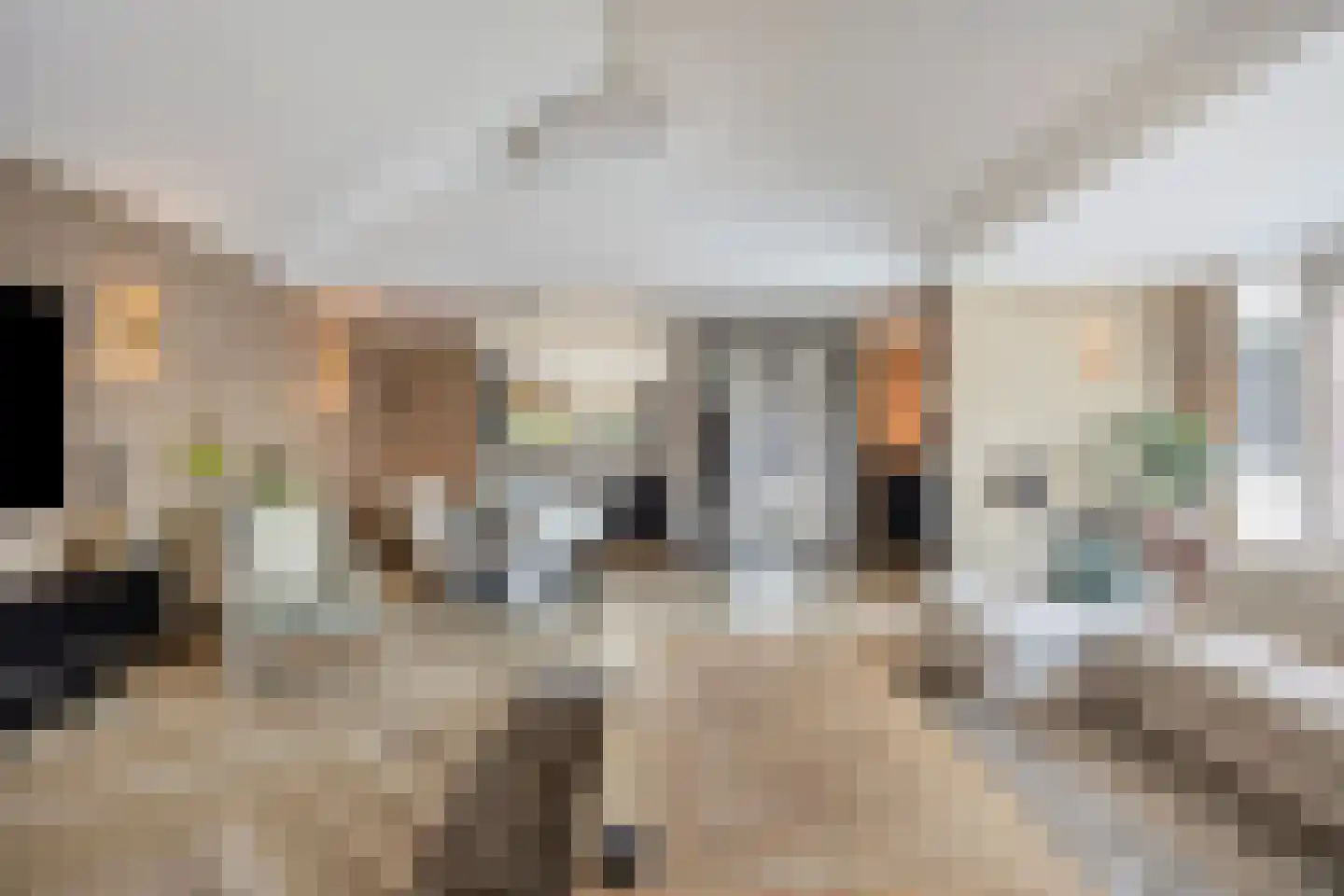 Moerasvaren 64 Purmerend thumbnail 14