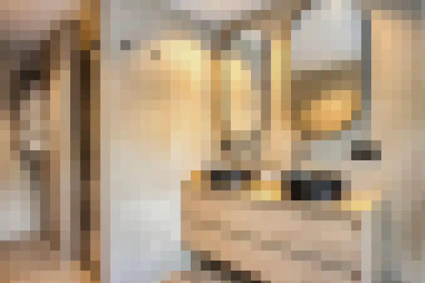 Moerasvaren 64 Purmerend thumbnail 31