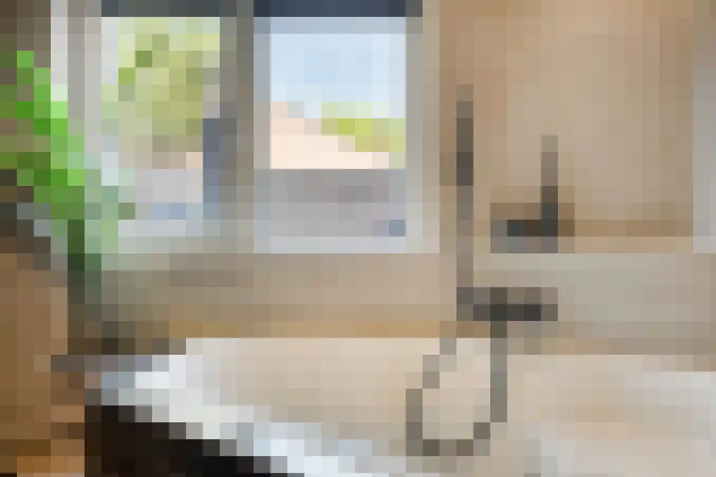 Moerasvaren 64 Purmerend thumbnail 33