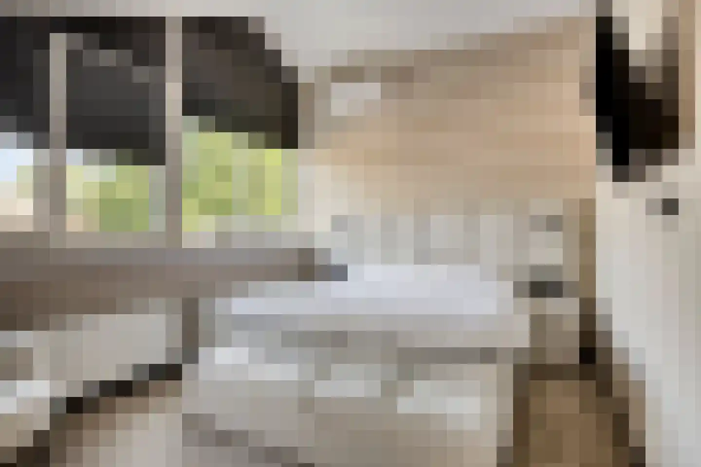 Moerasvaren 64 Purmerend thumbnail 36